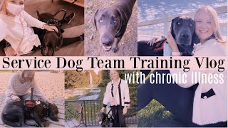 service dog team training vlog with chronic illness