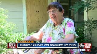 Insurance claim denied after gator bursts into kitchen