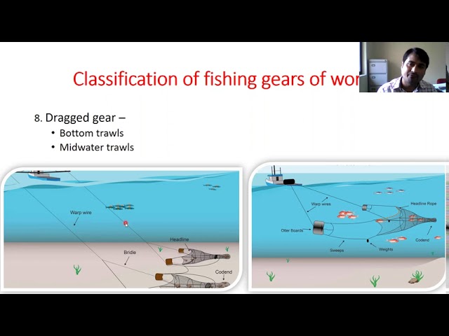 Classification of Fishing Gear of World Part 3 By: Dr. Abhishek Thakur,  (CoF) 