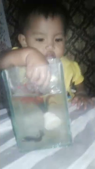 gemesin gaes