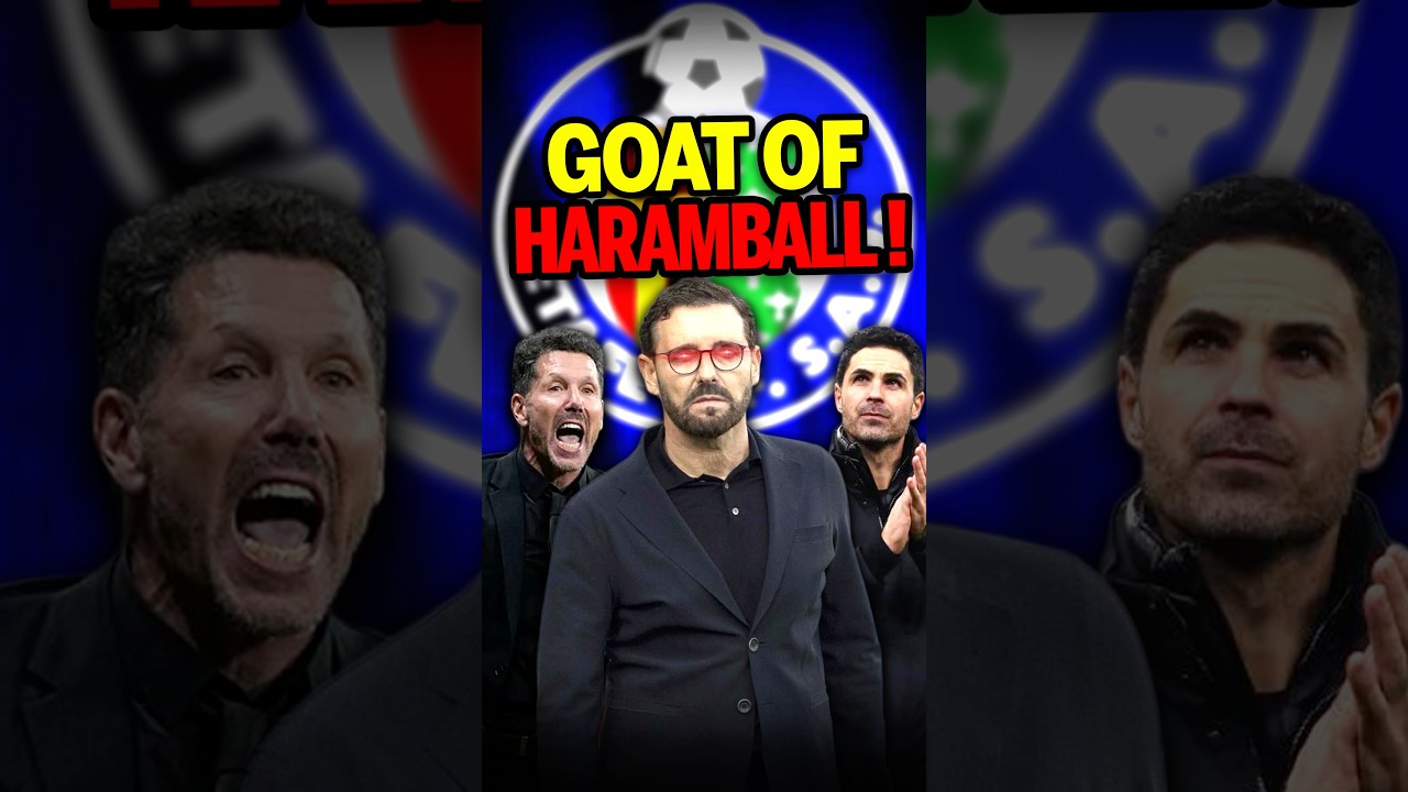 The real king of HARAMBALL?