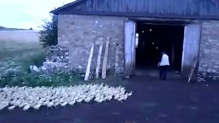 Такого дважды не бывает!!!! Такого дважды не бывает!!!!