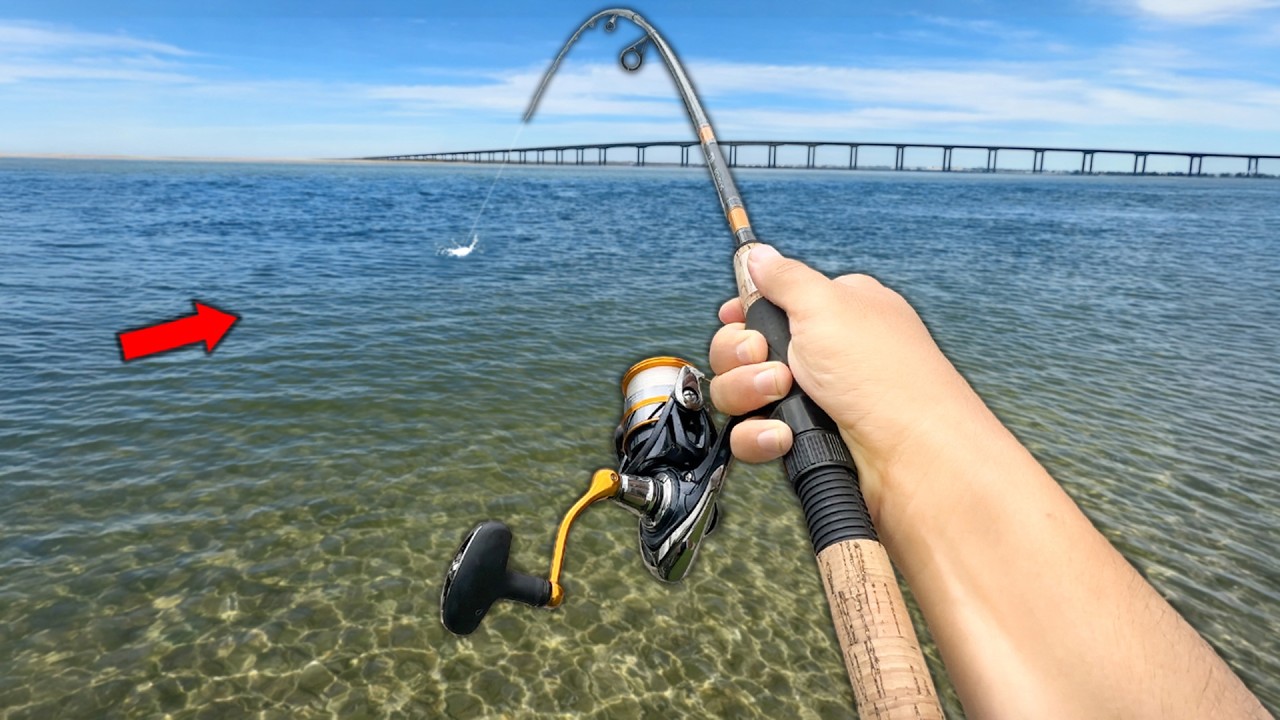 This Water is INFESTED with Vicious Fish..