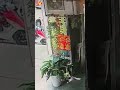 中信啦啦隊汶汶遭刺傷　出事前就被汶汶阿北盯上？｜#全民話燒