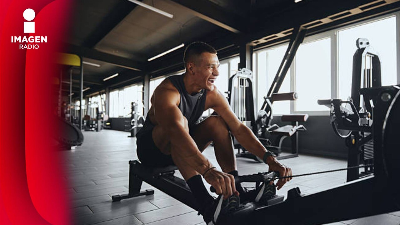 Derechos del hombre | QTF