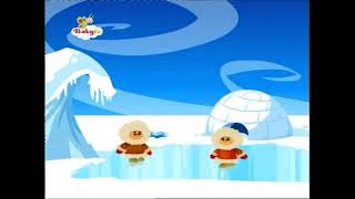 Zoom - Pingüino Perdido - Babytv