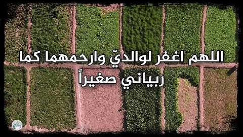 سورة النحل من الآية ٨١ إلى الآية ٩٠