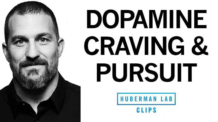 Dopamine System, Craving & Pursuit Explained | Dr. Andrew Huberman