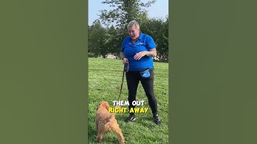 Puppy Potty Training Hack