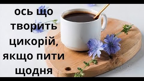 ОСЬ ЩО ТВОРИТЬ ЦИКОРІЙ, ЯКЩО ПИТИ  ЩОДНЯ