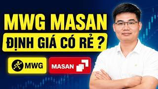 Are MWG and MSN very cheap right now