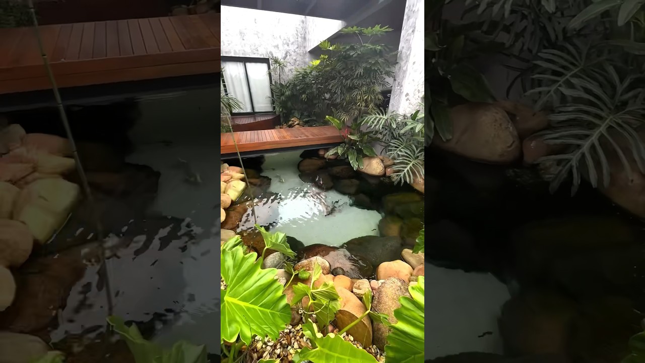 Imagina ter essa vista sempre que você chegar em casa! 