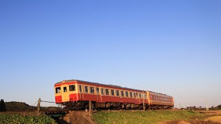 いすみ鉄道 キハ28+52 冬の運行 2019年12月