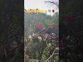 #dailyvlogs #beautiful morning #nature