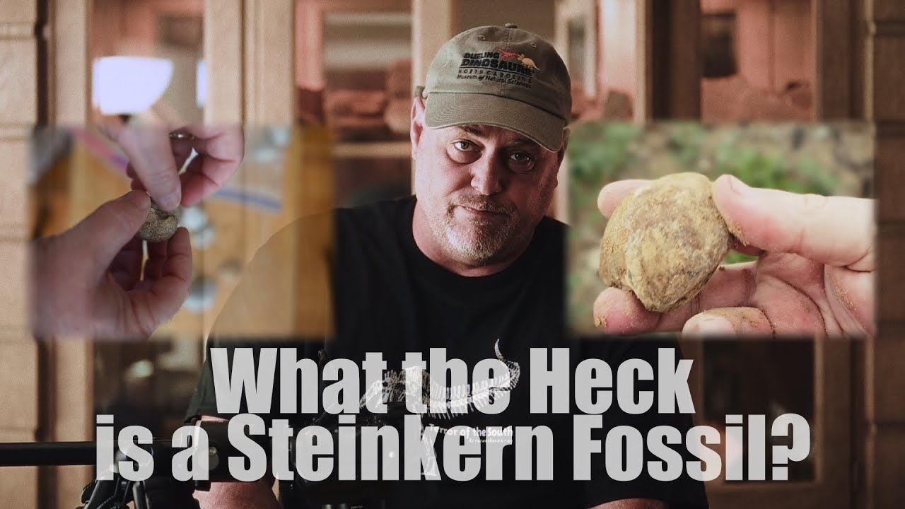 E004 Craven County NC Fossil Reveal