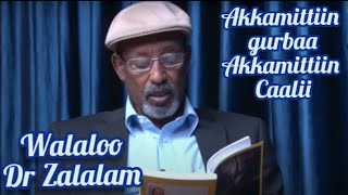 walaloo Dr zalaalam akkamittiin gurbaa...... akkamittiin caalii.....