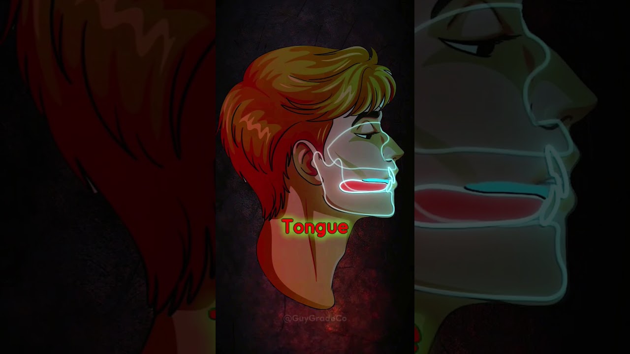 Best Mewing Tutorial For You 