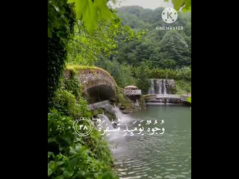 القارئ حمزة بوديب حالات واتس اب دينية