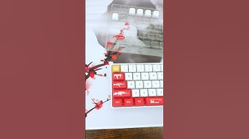 This CS2 Keyboard Is AMAZING #keyboard #customkeyboard #keycaps