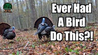 WE RAN OUT OF SHELLS! | In Your Face Ohio Turkey Hunt! by Weekend Woodsmen 1,054 views 2 years ago 6 minutes, 40 seconds