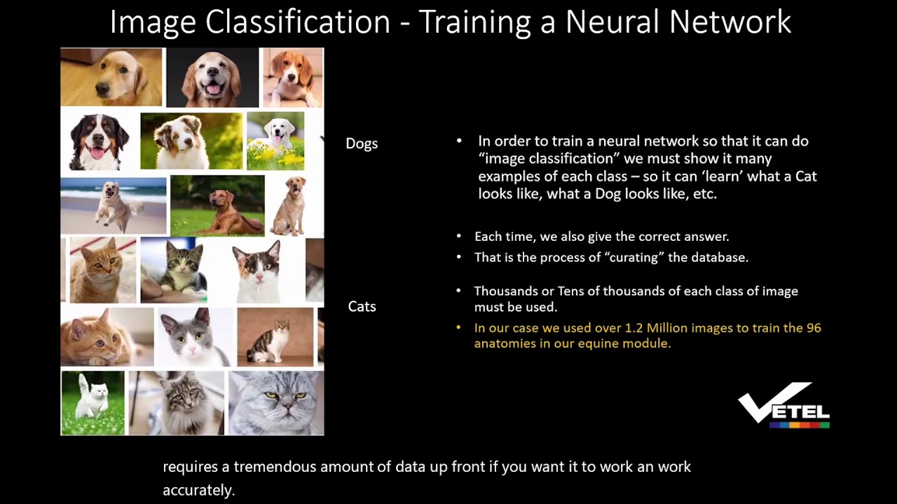 Artificial Intelligence presentation AAEP2020 - YouTube