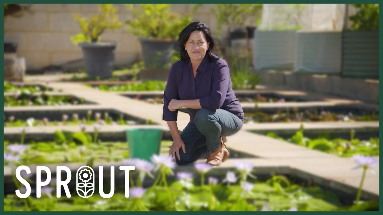 Top Gardening Tips for Winter Prep, Healthy Soil and Natural Weed Control