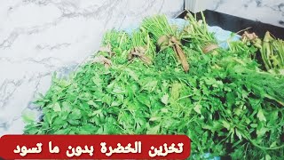 تخزين الخضرة(الكزبرة والبقدونس والشبت)لمده شهرين و تفضل بنفس اللون والطعم / سهلى حياتك