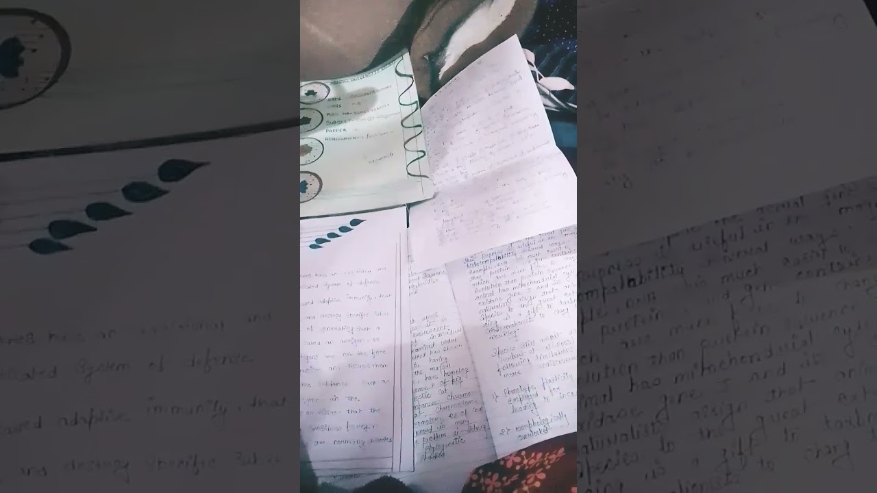 aadiwasi chatrawas mahila hostel