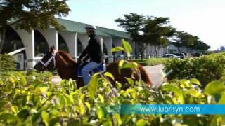 Celebrity Champion Trainer Todd Pletcher for LubriSyn Wealth