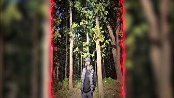 Trending XML present 💝 || XML present link 🖇️ || @ashmitrana