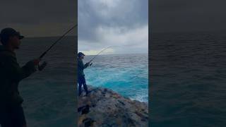 Shore jigging for kingfish #fishing #fishingtechniques #fishingvideo