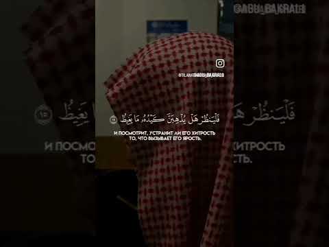 من ظن أن نصر الله لن يأتي يسمع ويجدد إيمانه ابو بكر الشاطري