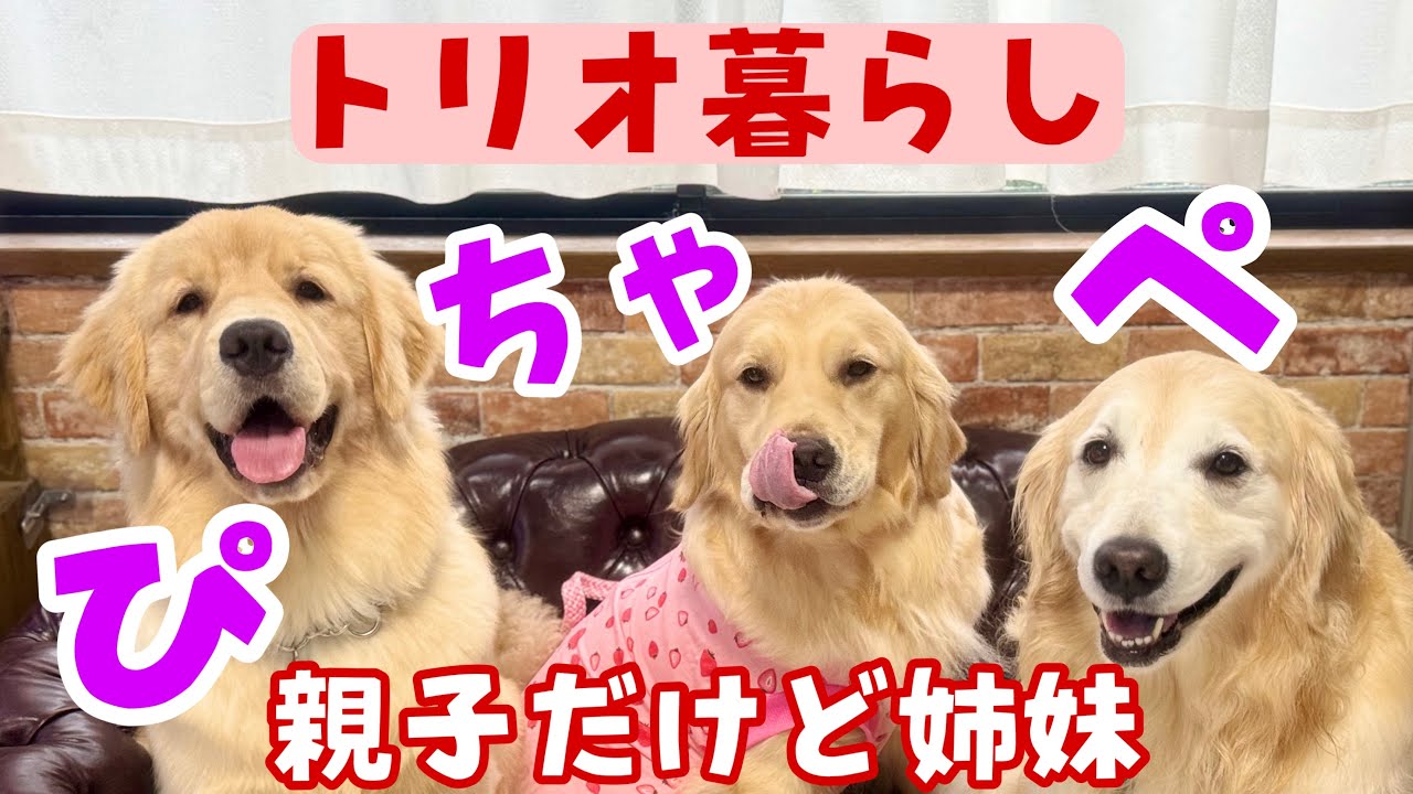 Trio Life] They're mother and daughter, but they're like sisters