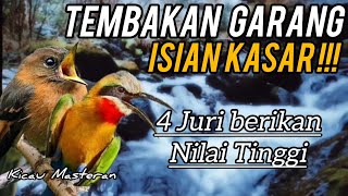 MASTERAN BURUNG FIGTHER‼️ FULL TEMBAKAN KASAR SUARA TAJAM Part 114