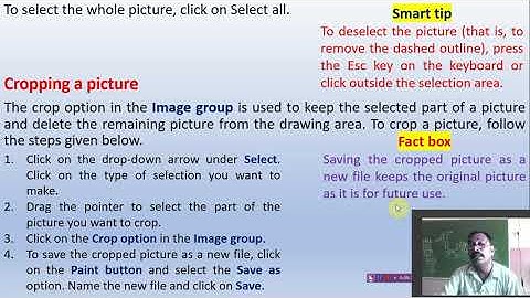 Class 3 Subject   Computer Chap 4 Playing with images in Paint Part 1