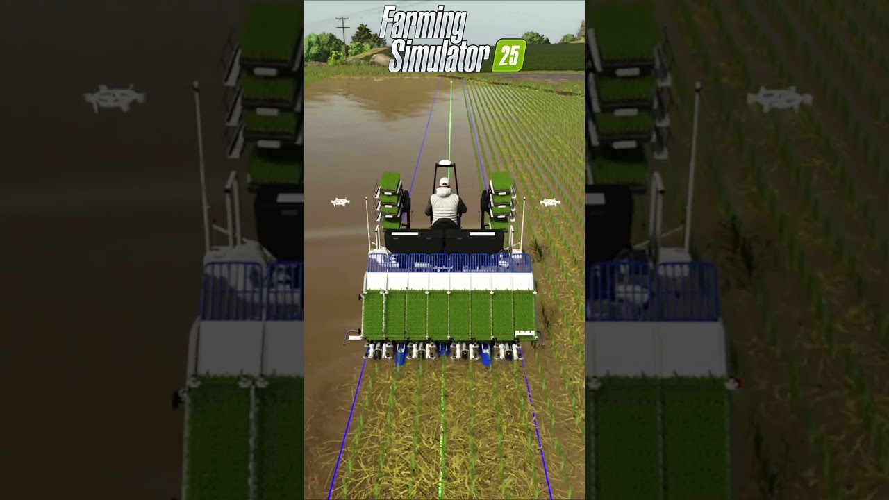 Сажаем рис в FS25 