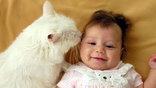 Cats and Babies Playing Together Compilation NEW
