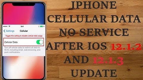 Cellular Data No Service Error on iPhone after iOS 12.1.2 Update