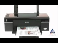 Epson Stylus Office T40W with CISS