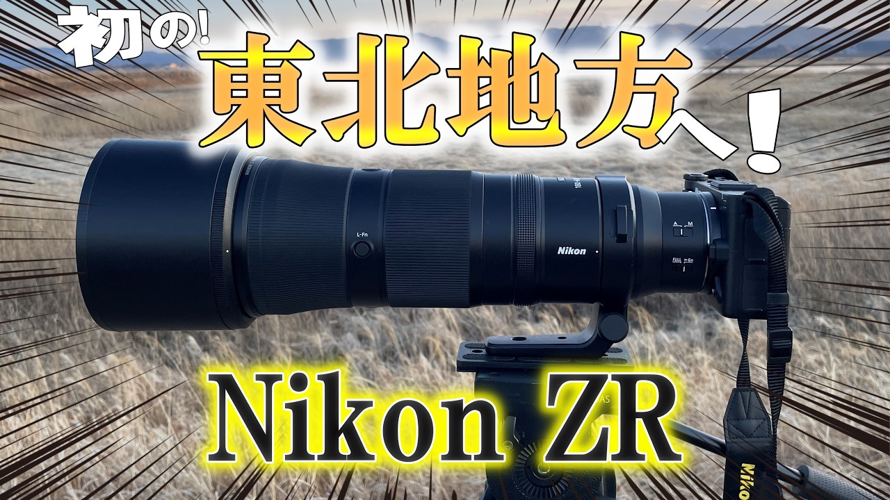 ZRで野鳥撮影は可能？東北地方の野鳥の群れにテンション爆上がり！！