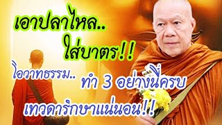 เอาปลาไหลใส่บาตรพระ อธิษฐานขอให้ได้บวช #โอวาทธรรม #ครูบาอินทร ปัญญาวัฑฒโน #วัดสันป่ายางหลวง จ.ลำพูน