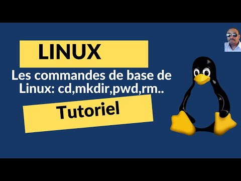 Les commandes de base de Linux : ls,cd,pwd,mkdir,rm,