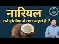 What is coconut called in English? English meaning of coconut Spoken English classes Mp3 Song