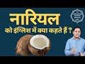 What is coconut called in english english meaning of coconut spoken english classes