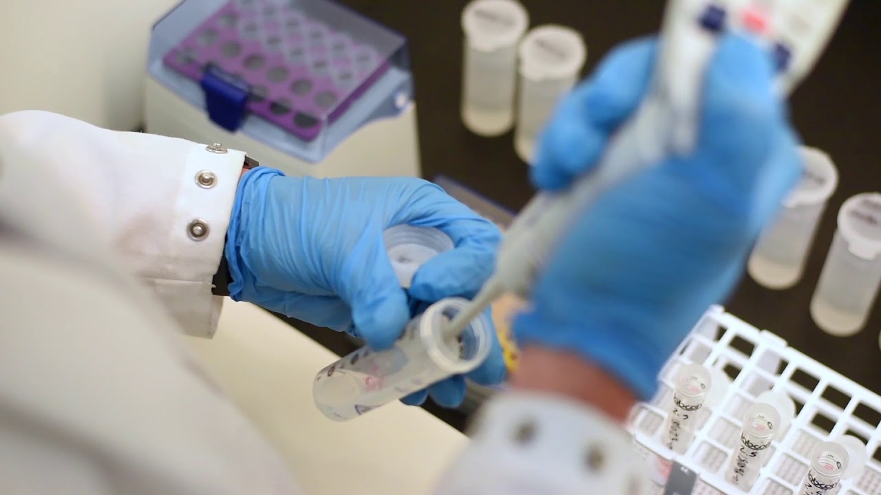 Energy Northwest Labs web vid YouTube