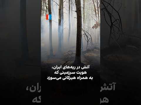 آتش در ریه های ایران هویت سرزمینی که به همراه هیرکانی می سوزد