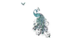 Fuku6 & Rabidzen - Kujaku