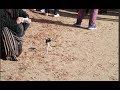 ローアングル禁止【4K】京都橘高校吹奏楽部 ブルーメの丘マーチングパレード