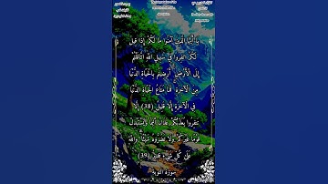 ياأيها الذين آمنوا مالكم إذا قيل لكم انفروافي سبيل الله اثاقلتم إلى الأرض #سورة_التوبة #بدر_التركي