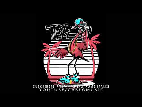 STAY FLY - RAP BEAT - INSTRUMENTAL HIP HOP - [FREE USE]